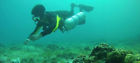 4fbojdtnm Unbranded Ezdive Scuba Diving Air Balanced Second Stage 4894679234233