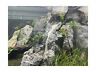Sf12012060a Aquavista Aquatics Aqua Vista Sutherland Scapable Sand Fall Kit