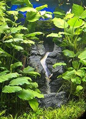 V Aquavista Aquatics 700721984947 Eaton Canyon Sandfall Black
