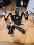 Sea Underwater Housing RDX550D & Strobe YS-110A See All Photos. Fixed Price $4500.00.