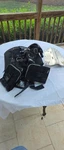 Ist Dolphin Tech JT-31D Single Tank Wing Style, Scuba Bcd. Fixed Price $500.00.