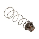 United Aqua Group 460924 Thermal Regulator Asme, Kit. Fixed Price $169.33.