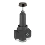 Wilkerson R30-08-000 Air REGULATOR,1 In. NPT,500 CFM,300 Psi 6B206. Fixed Price $210.26.