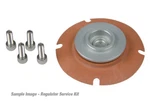 Aeromotive 13001 Pressure Regulator Rebuild Kit Service For 13101 13109 13151. Fixed Price $47.65.